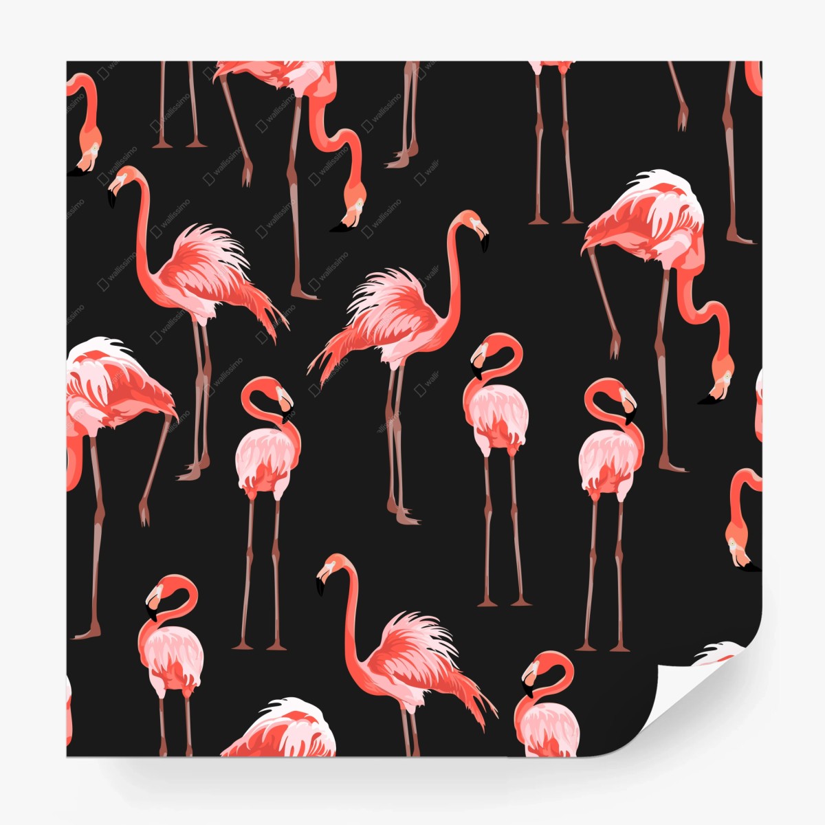 Carta da parati motivo fenicotteri rosa su sfondo scuro • Wallissimo®