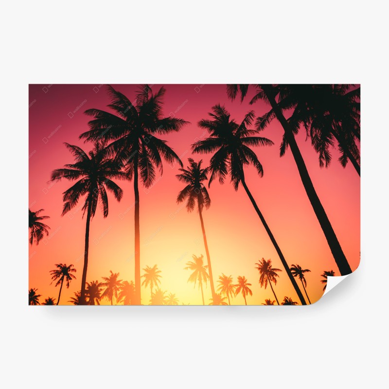 Carta da parati tramonto tropicale con palme in silhouette
