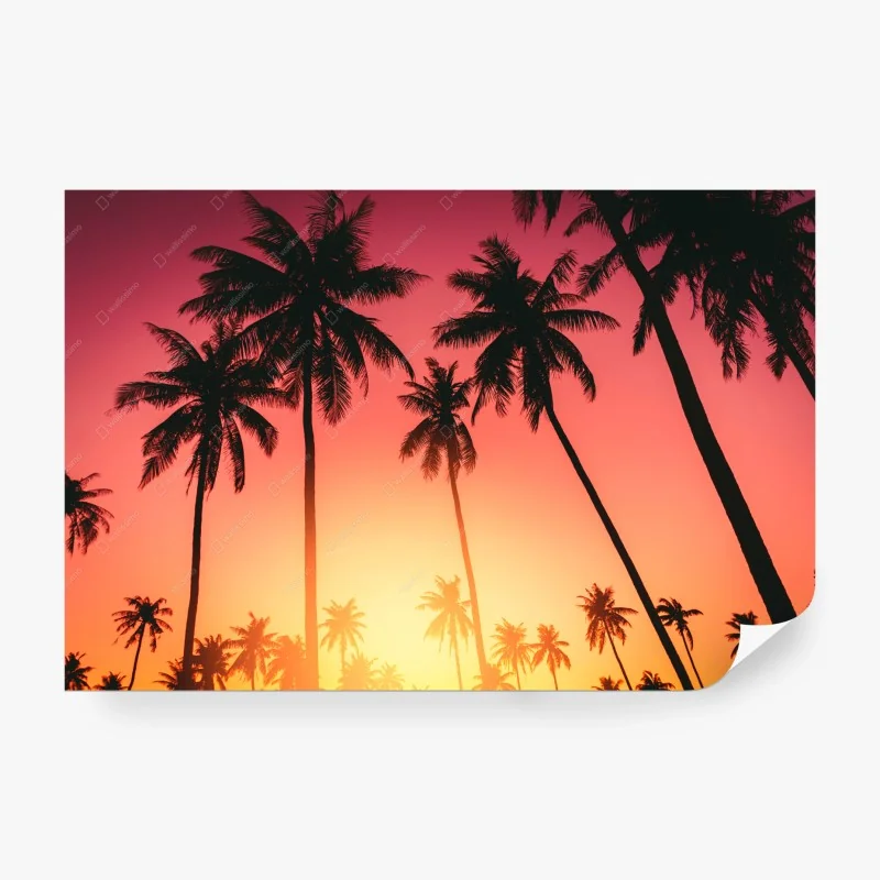 Carta da parati • Wallissimo®