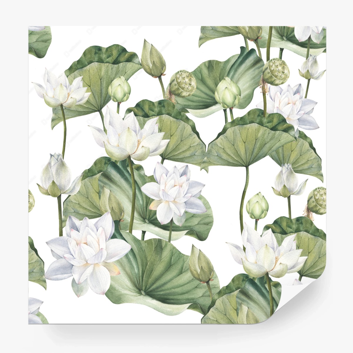 Carta da parati eleganza di loto bianco in acquerello • Wallissimo®