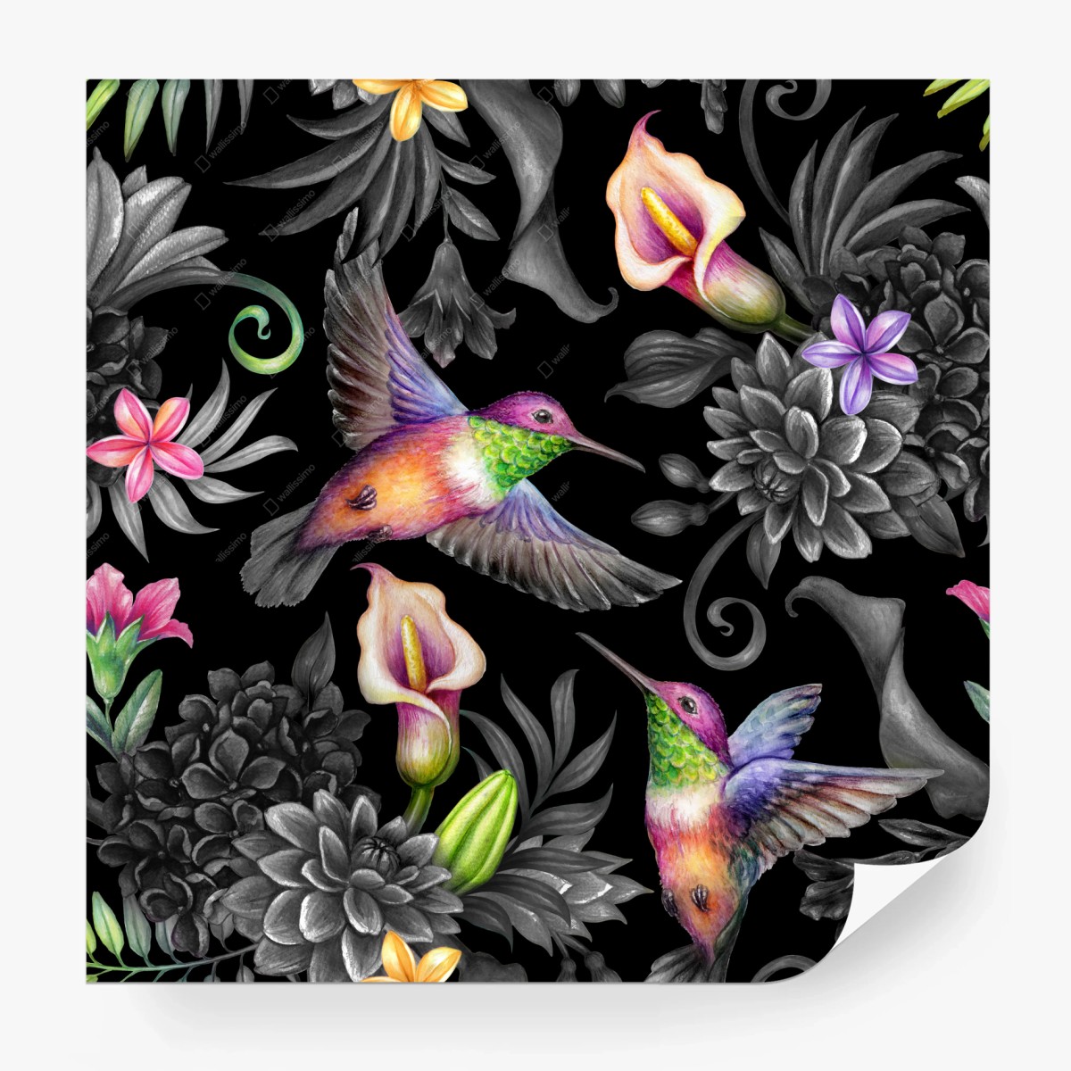 Carta da parati giardino paradisiaco notturno con colibrì e fiori tropicali • Wallissimo®
