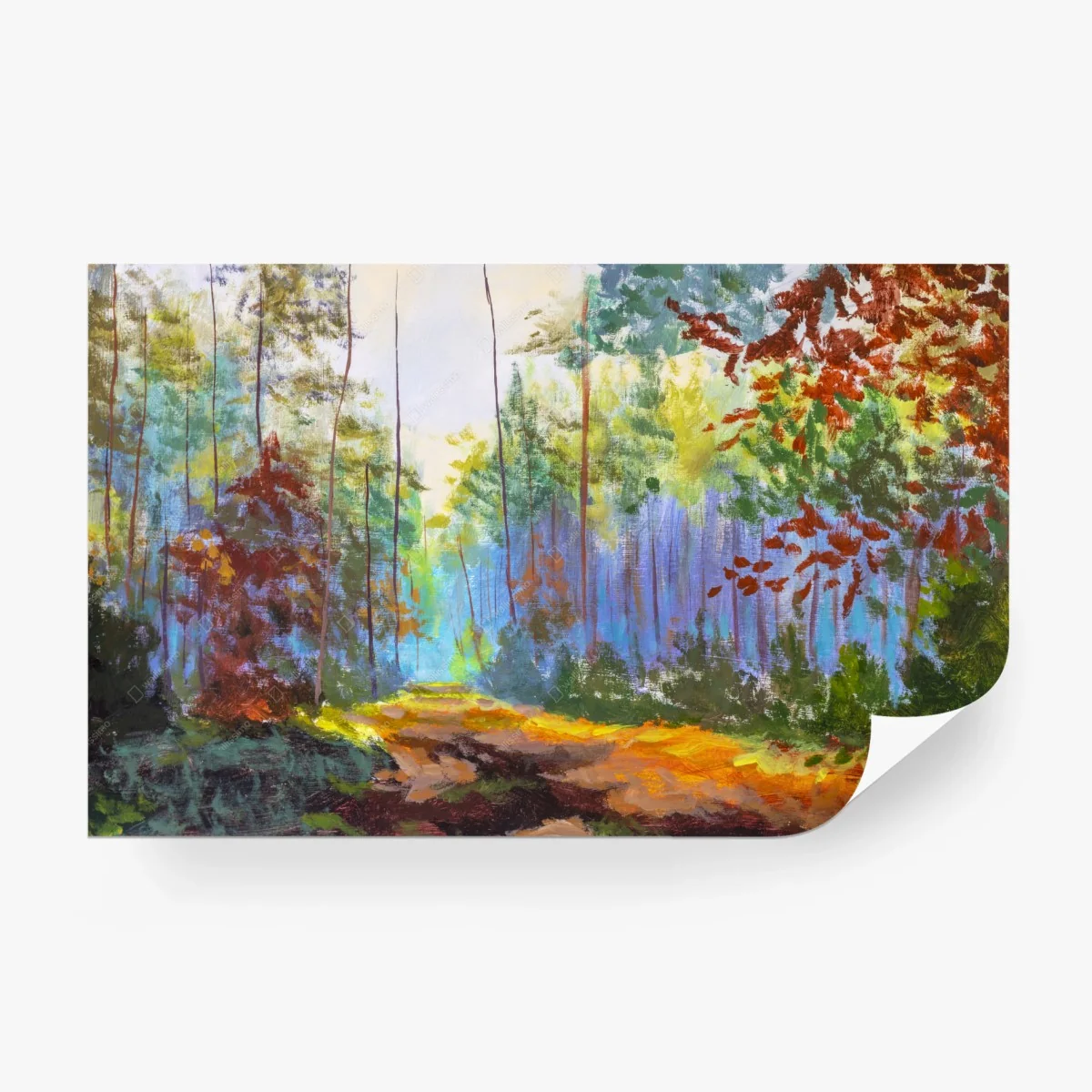 Carta da parati sentiero d'autunno nella foresta luminosa • Wallissimo®
