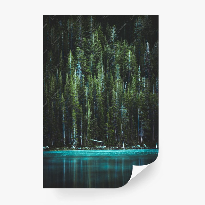 Carta da parati lago turchese e foresta incantata