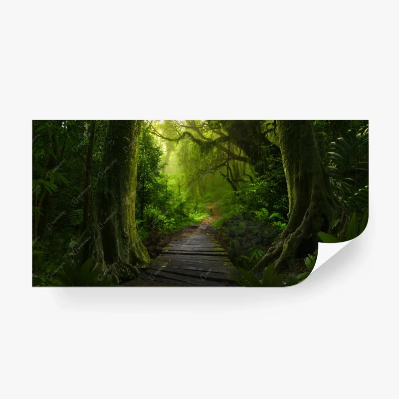 Carta da parati sentiero nella foresta incantata