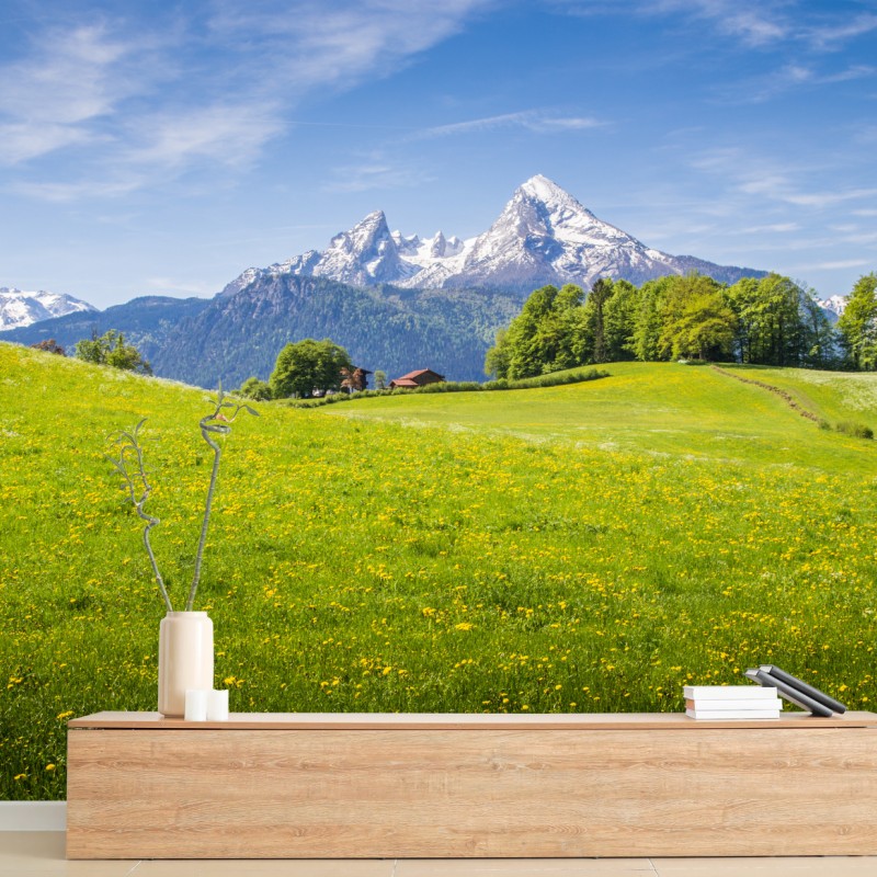 Carta da parati panorama primaverile delle Alpi con prati fioriti