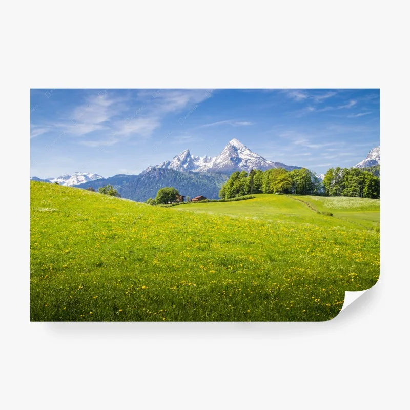 Carta da parati panorama primaverile delle Alpi con prati fioriti