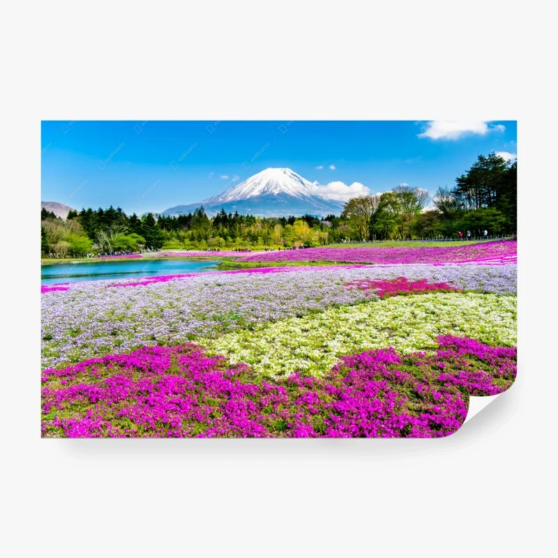 Carta da parati panorama fiorito con Monte Fuji sullo sfondo