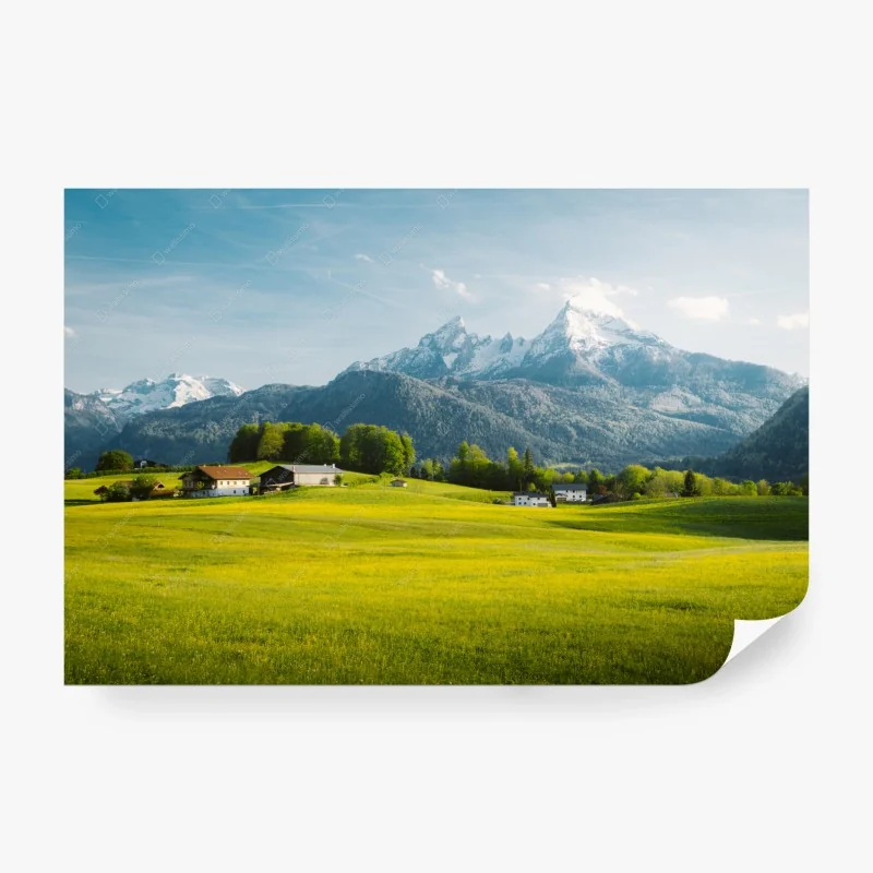 Carta da parati panorama alpino primaverile con prati fioriti