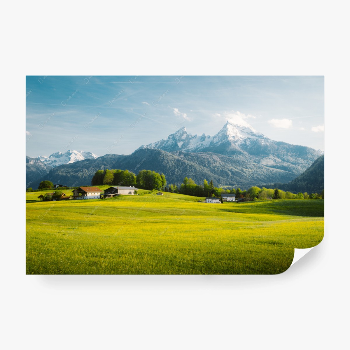 Carta da parati panorama alpino primaverile con prati fioriti • Wallissimo® Carta da parati panorama alpino primaverile con prati fioriti • Wallissimo®