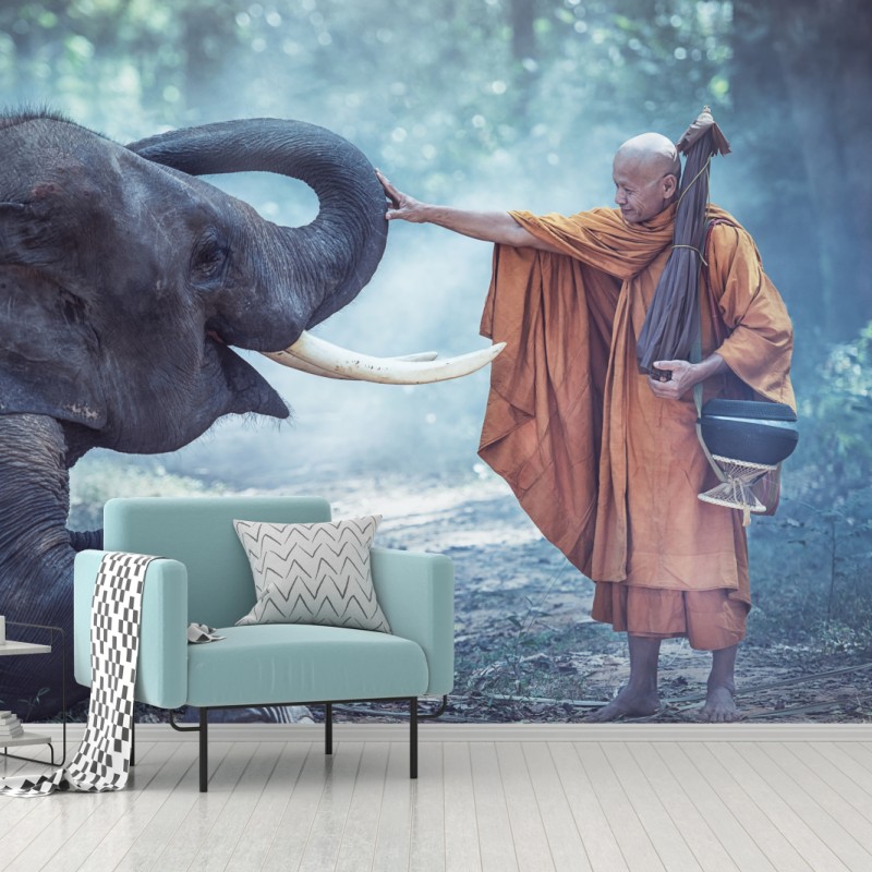 Carta da parati monaco buddista e elefante in Thailandia