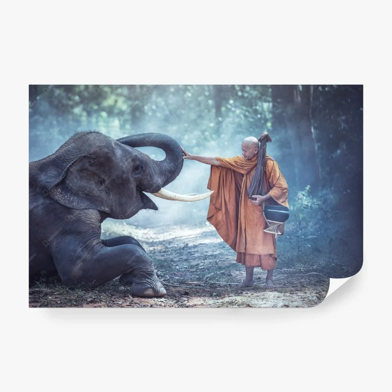 Carta da parati monaco buddista e elefante in Thailandia