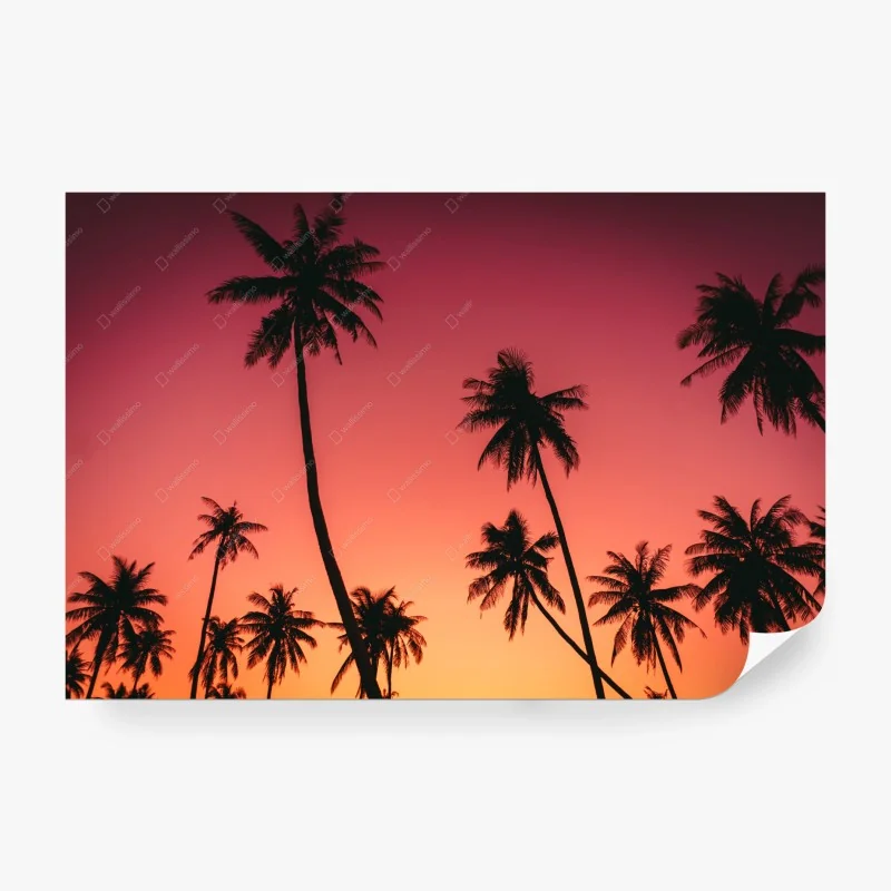 Carta da parati tramonto tropicale con palme al vento
