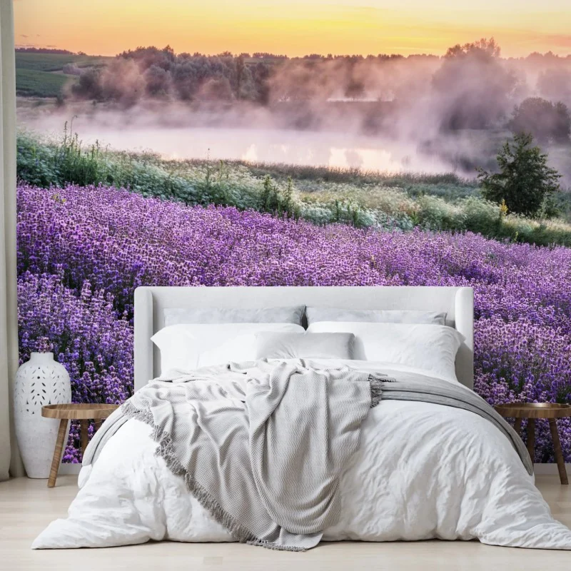 Carta da parati campo di lavanda all'alba con nebbia