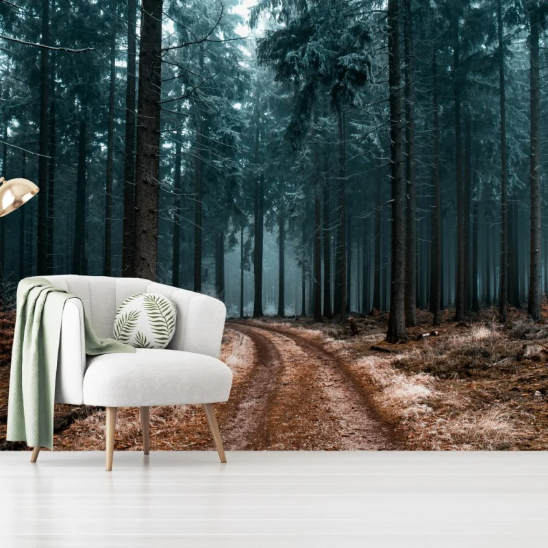 Carta da parati sentiero tra i pini nella nebbia