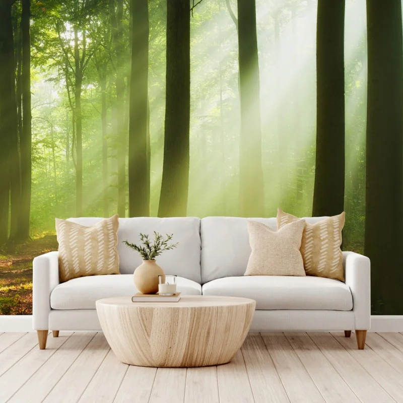 Carta da parati mattina luminosa nella foresta