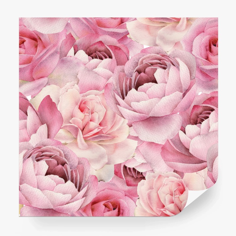 Carta da parati motivo di rose acquerellate