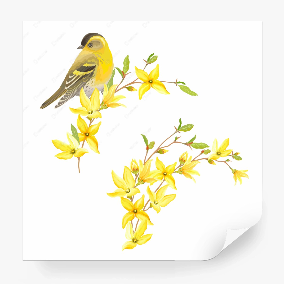 Carta da parati uccellino primaverile tra fiori gialli • Wallissimo®