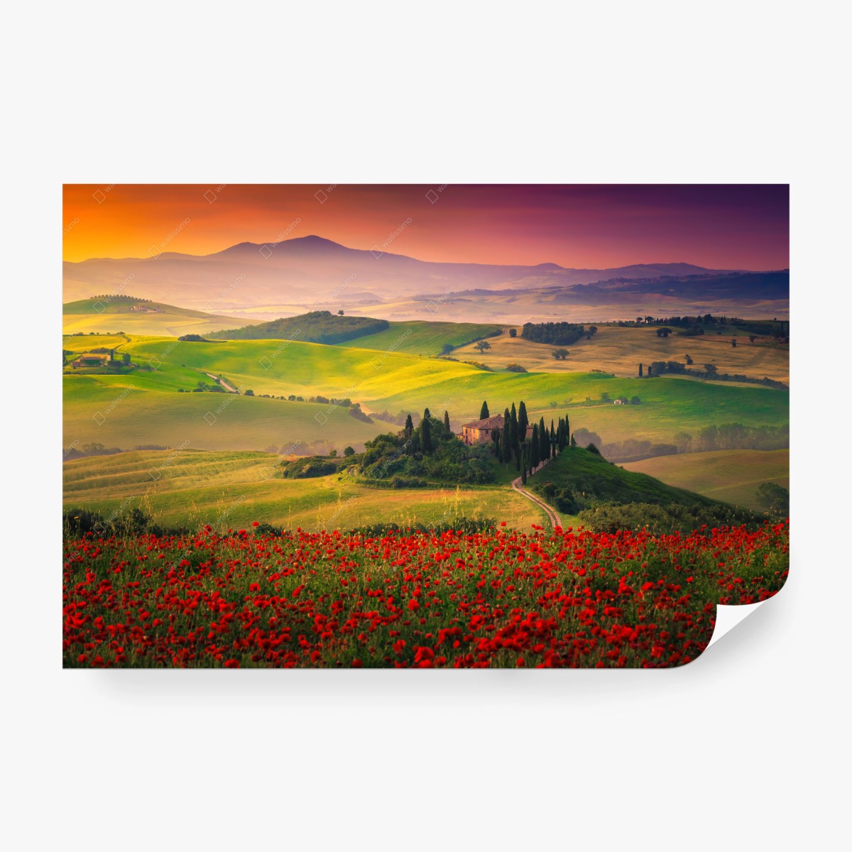 Carta da parati paesaggio della Toscana al tramonto • Wallissimo® Carta da parati paesaggio della Toscana al tramonto • Wallissimo®