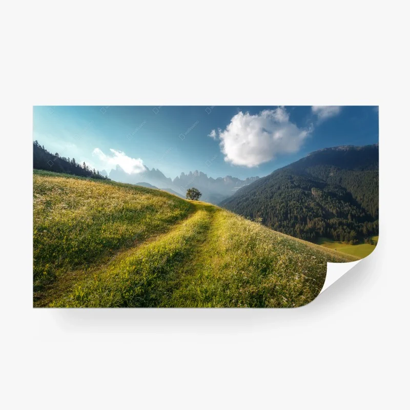 Carta da parati fuga tra i prati delle Dolomiti