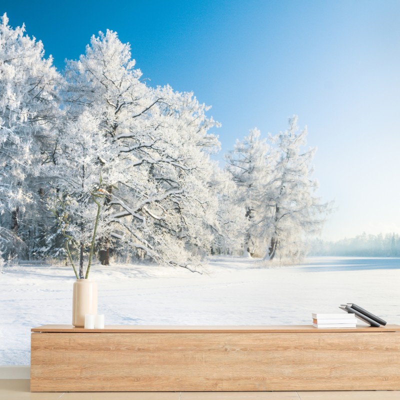 Carta da parati paesaggio invernale con alberi ghiacciati