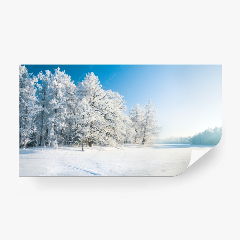 Carta da parati paesaggio invernale con alberi ghiacciati