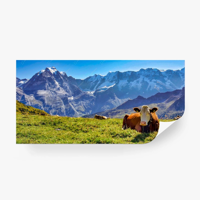 Carta da parati paesaggio alpino con mucca sdraiata sulle Alpi