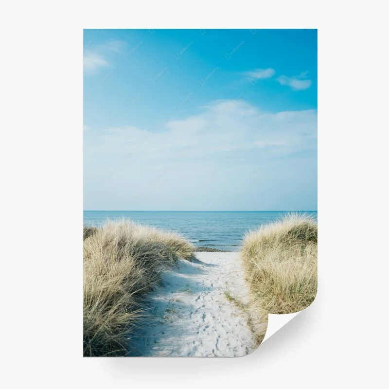 Carta da parati sentiero sabbioso verso il mare tra dune