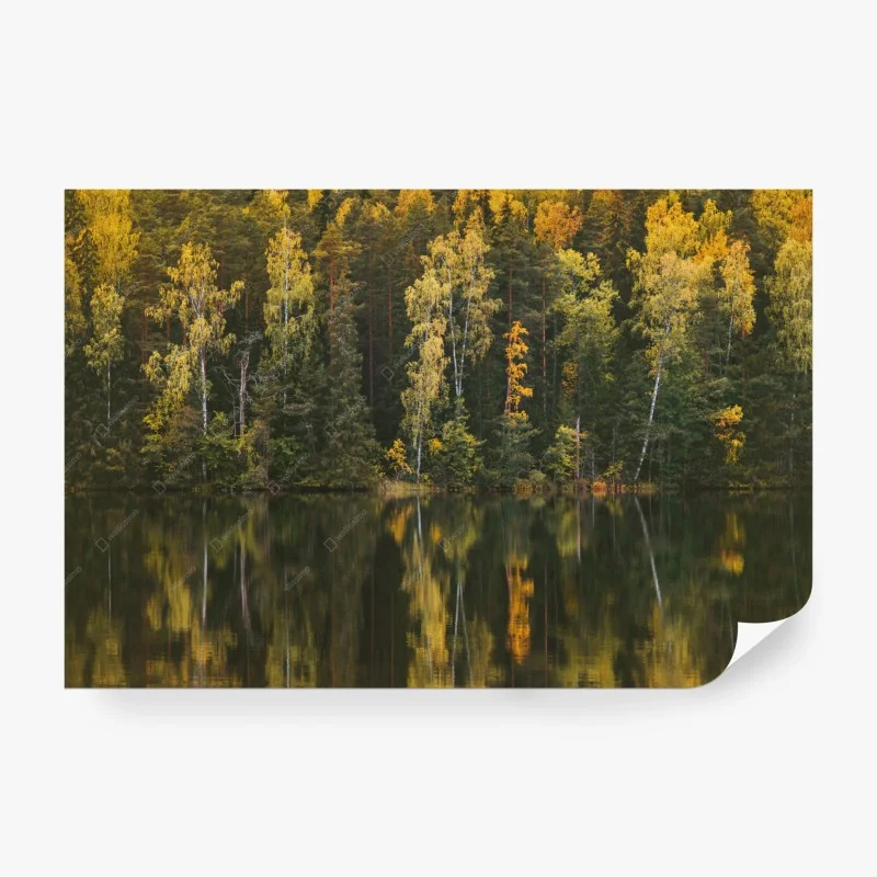 Carta da parati riflessi d'autunno sul lago