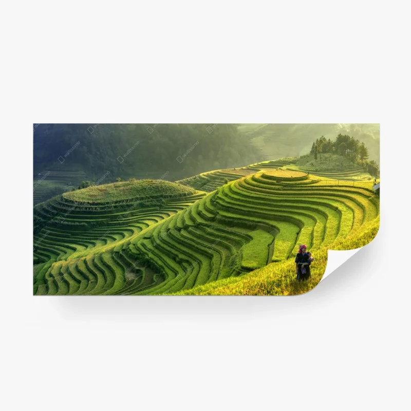 Carta da parati terrazze di riso a Mu Cang Chai