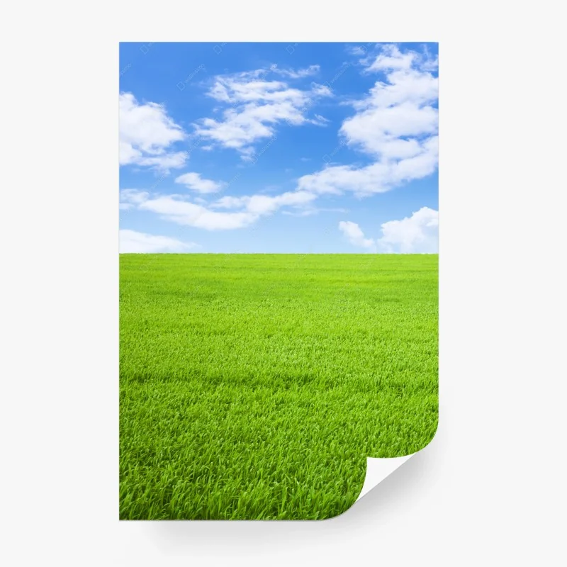 Carta da parati paesaggio di prato verde e cielo azzurro