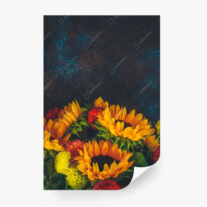 Carta da parati girasoli vivaci su sfondo scuro