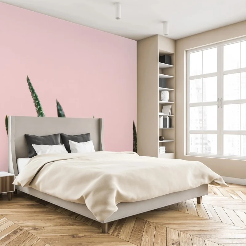Carta da parati aloe su sfondo rosa minimalista