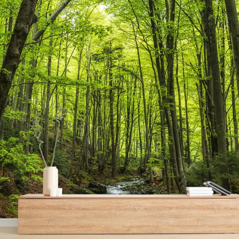 Carta da parati torrente nel bosco primaverile