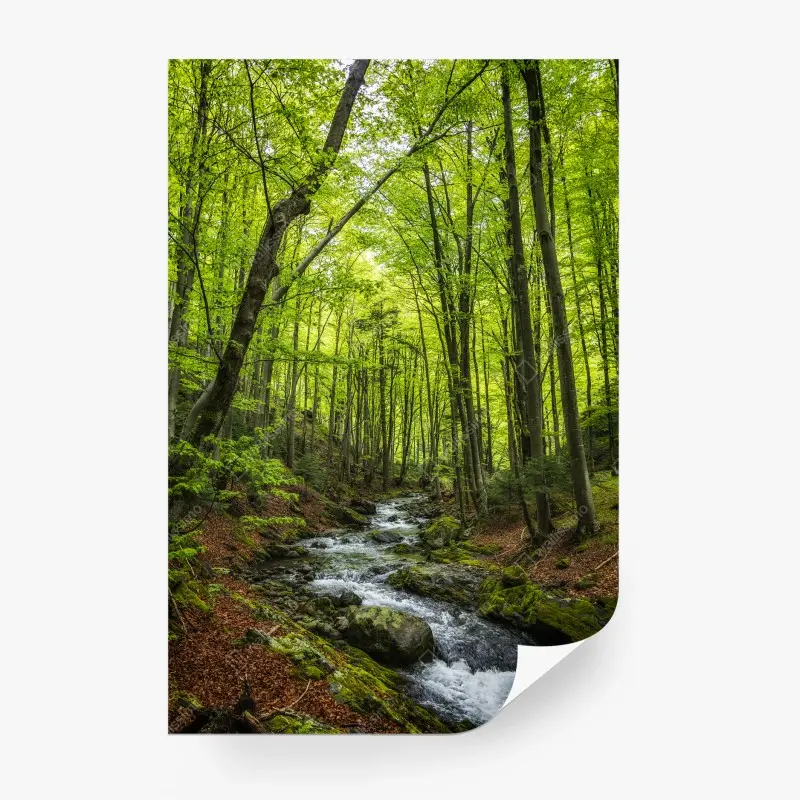 Carta da parati torrente nel bosco primaverile
