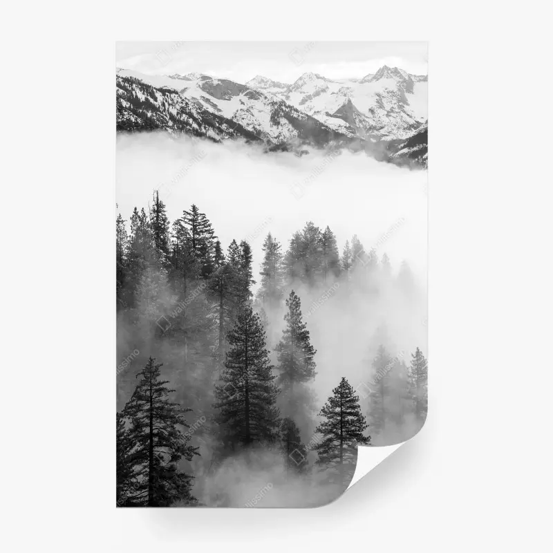 Carta da parati nebbia tra le sequoie del Giant Forest, Sierra Nevada