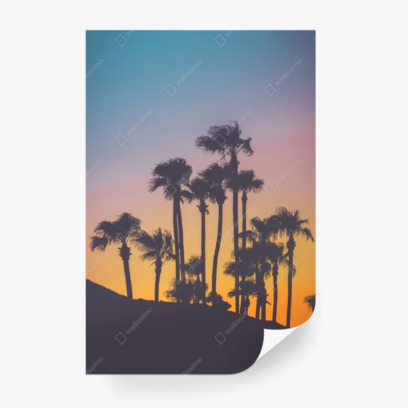 Carta da parati tramonto tropicale in silhouette