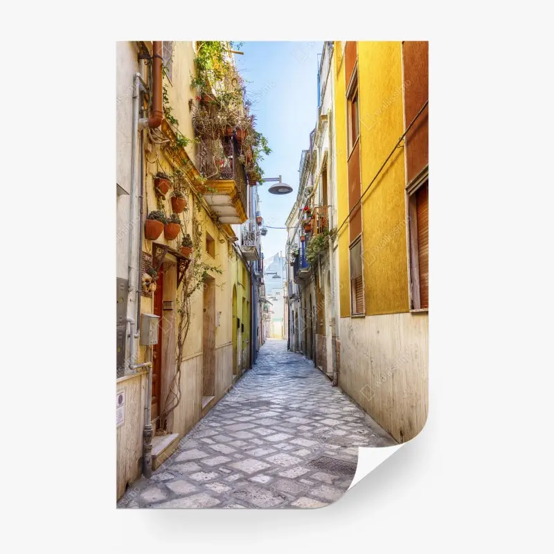 Carta da parati vicolo fiorito nel centro storico di Brindisi