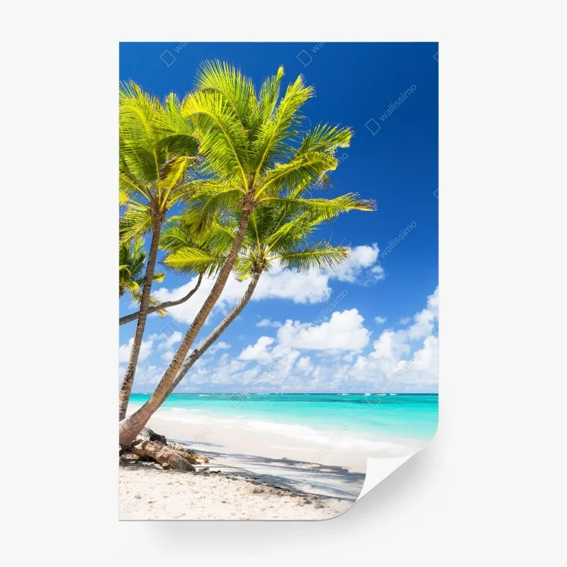 Carta da parati paradiso tropicale: palme su spiaggia bianca
