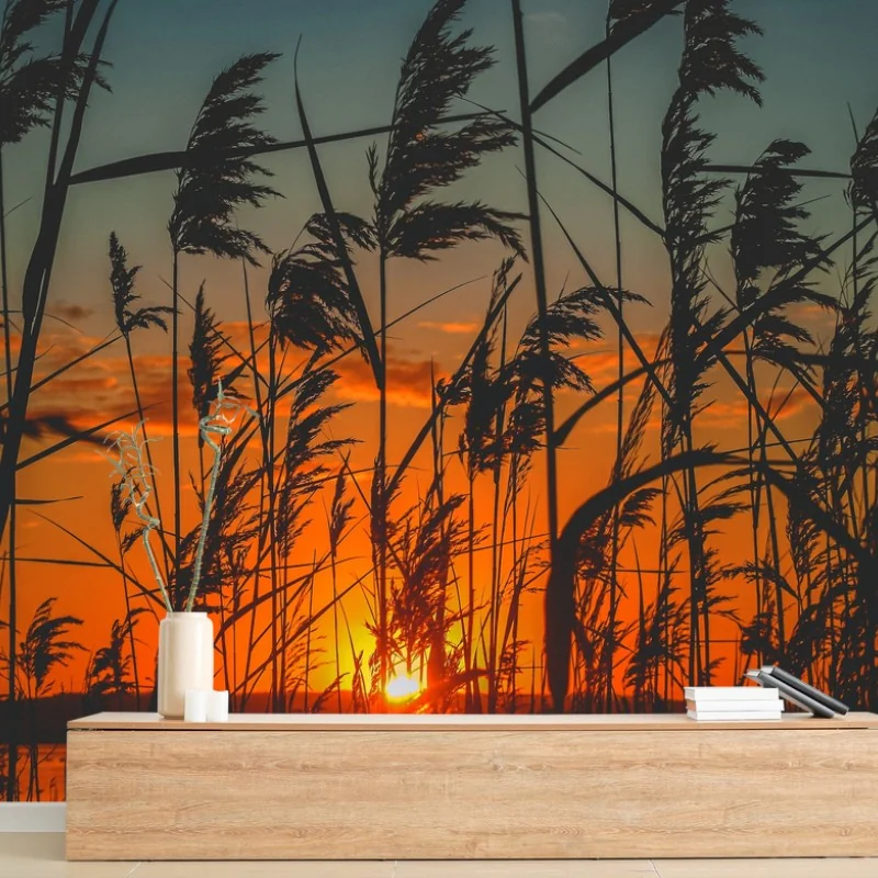 Carta da parati tramonto sulle rive: silhouette di canne al vento
