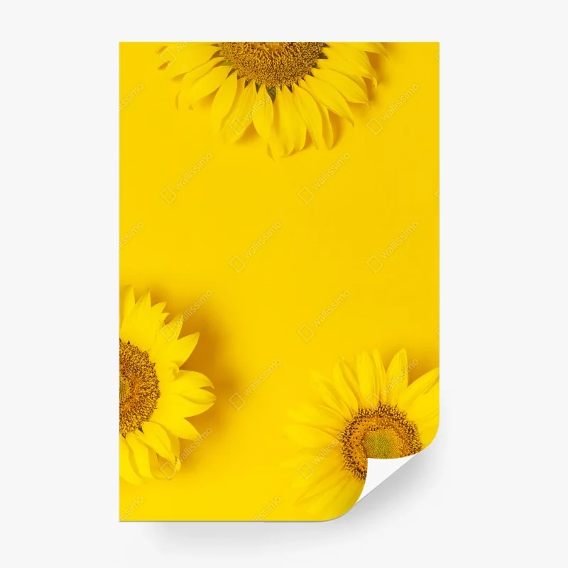 Carta da parati girasoli su sfondo giallo brillante