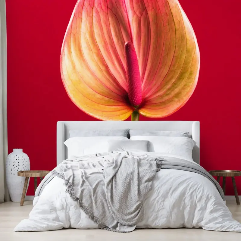 Carta da parati anturio su sfondo rosso in stile botanico minimalista