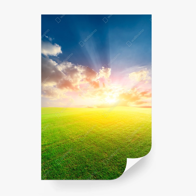 Carta da parati tramonto dorato sul prato infinito