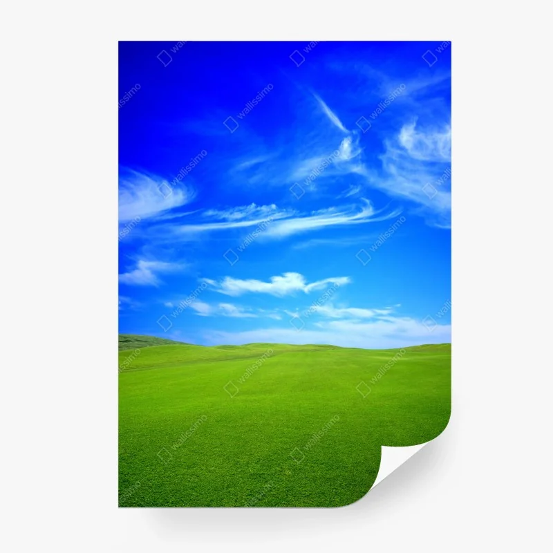Carta da parati prato verde sotto cielo blu