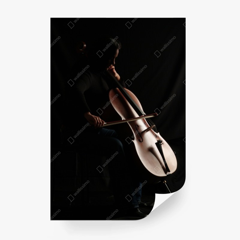 Carta da parati silhouette di violoncellista in controluce