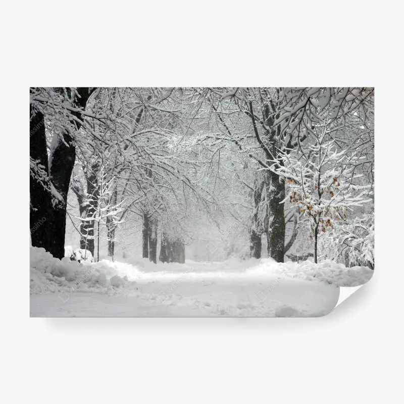 Carta da parati viale innevato tra gli alberi