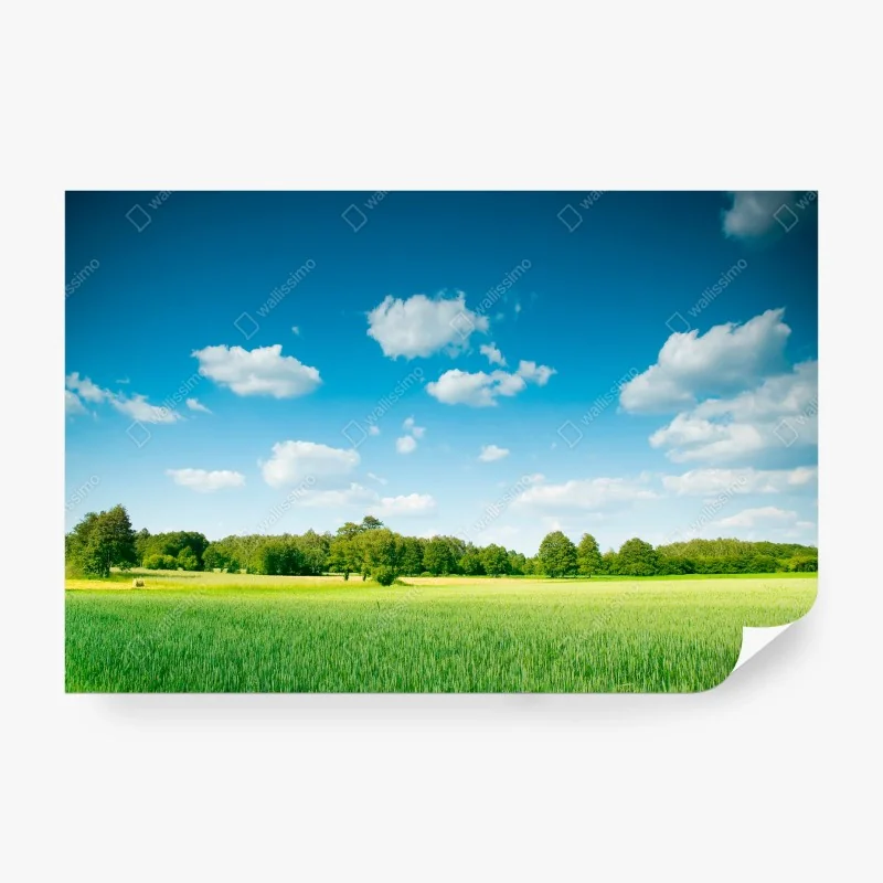 Carta da parati paesaggio di campagna con cielo azzurro e nuvole