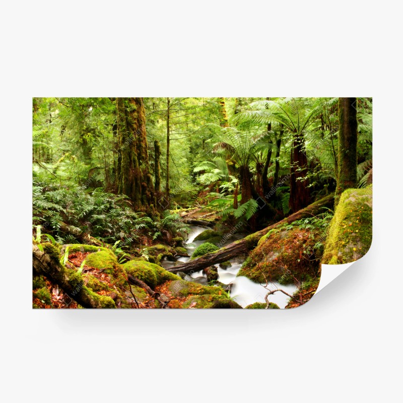 Carta da parati silenzio della foresta di Victoria