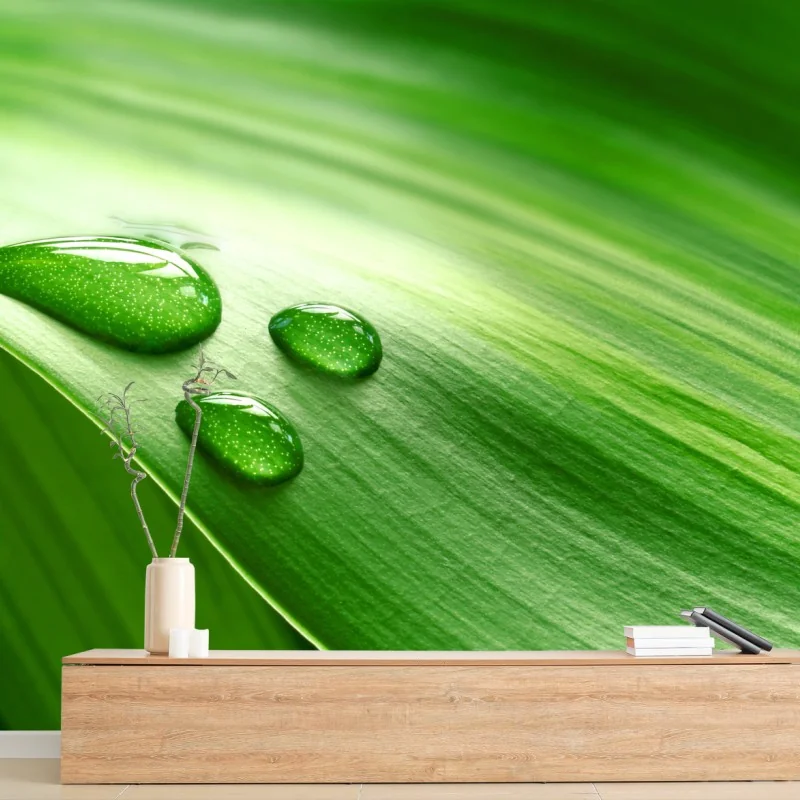 Carta da parati foglia verde con gocce d'acqua