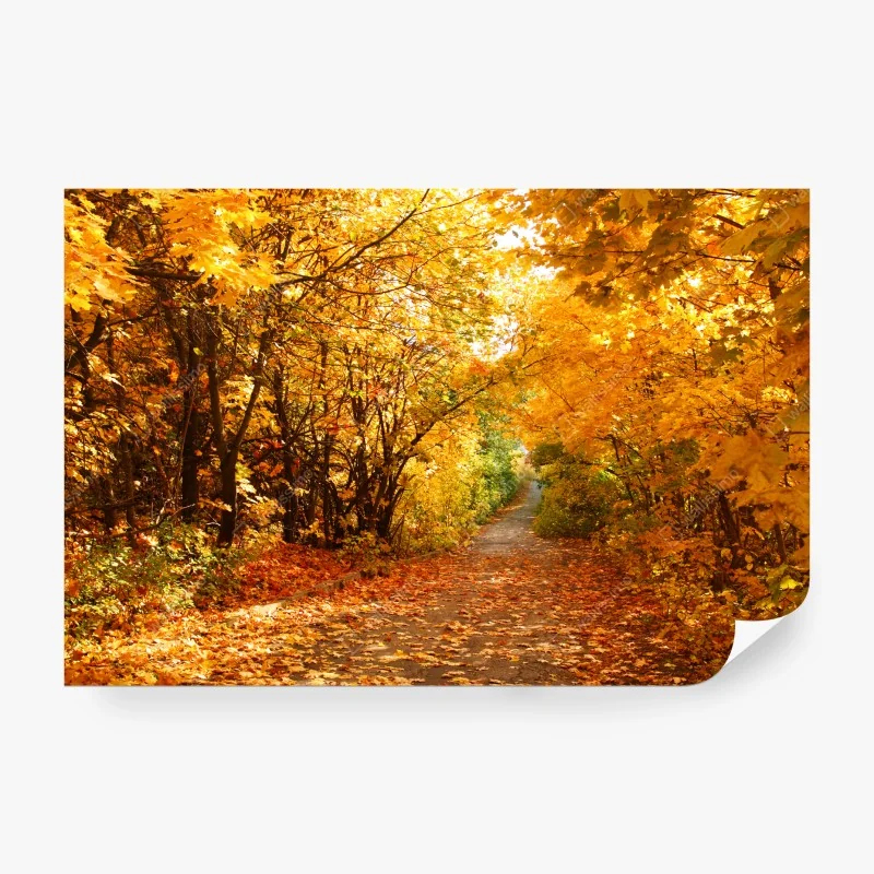 Carta da parati viale autunnale dalle foglie dorate