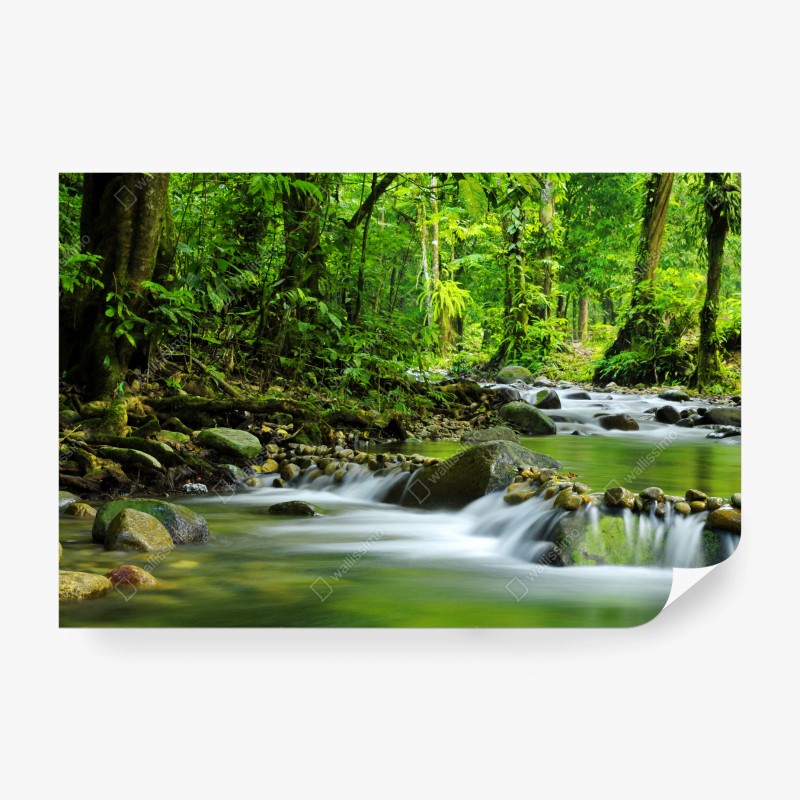 Carta da parati torrente nella foresta verde